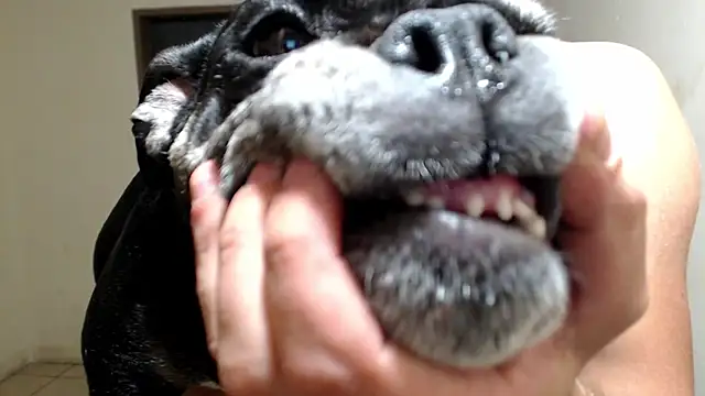 BlondZilla online show from 03/18/26, 06:27