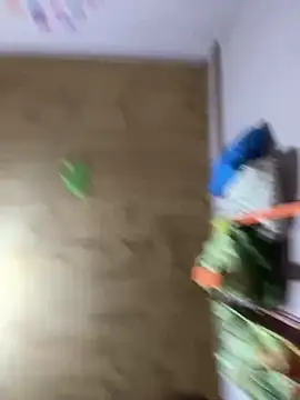 kiittyselenita online show from 04/12/26, 02:38