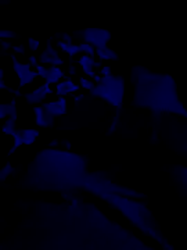 jcwxt online show from 04/27/26, 09:07