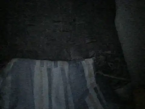 RVJM online show from 05/03/26, 02:17