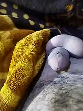 ADAM50001 online show from 04/02/26, 02:42