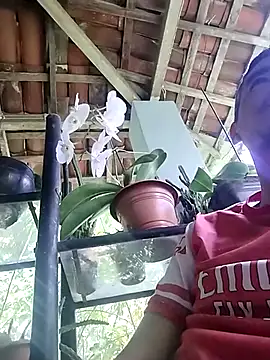 Snapshot of Boragozarvem chatting on 10/07/25, 02:58 Boragozarvem online show from 10/07/25, 02:58