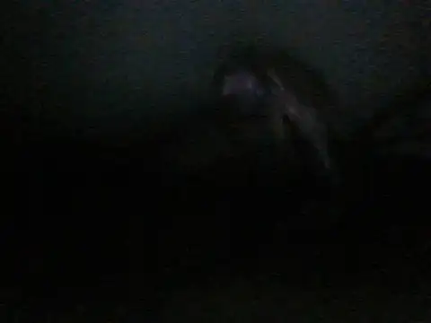 itachi thebro1 online show from 06/10/26, 04:12