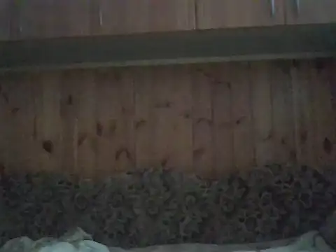 Snapshot of Maksymilian1 chatting on 11/11/25, 08:36 Maksymilian1 online show from 11/11/25, 08:36