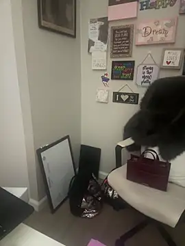 Juicystorm online show from 02/11/26, 01:10