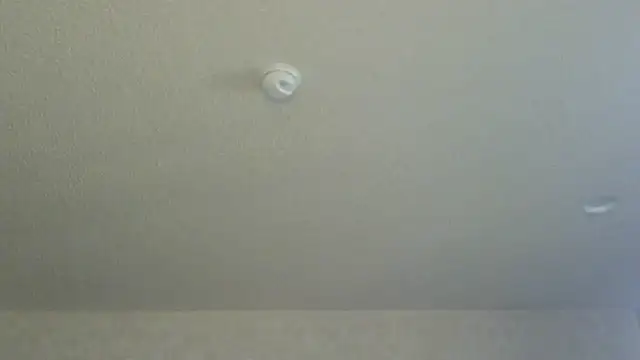 Flossee online show from 04/11/26, 12:15