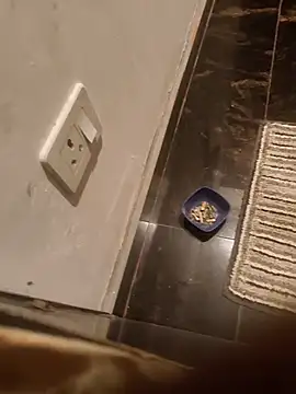 HootedTuner online show from 11/13/25, 08:08