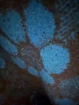 ParousFlow online show from 01/19/26, 12:42