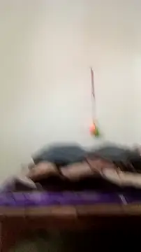 Guriya0076 online show from 02/23/26, 11:07