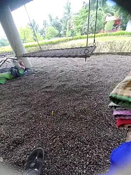 Desi Horny Boys online show from 09/15/25, 06:13