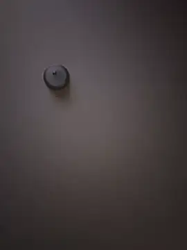 curis4270panda online show from 02/16/26, 07:59