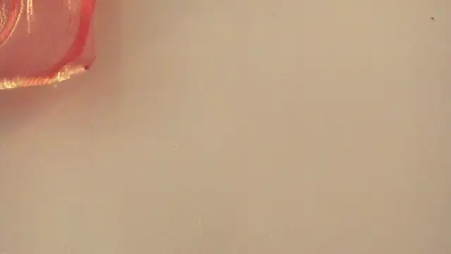 violet taylor  online show from 07/02/26, 02:22
