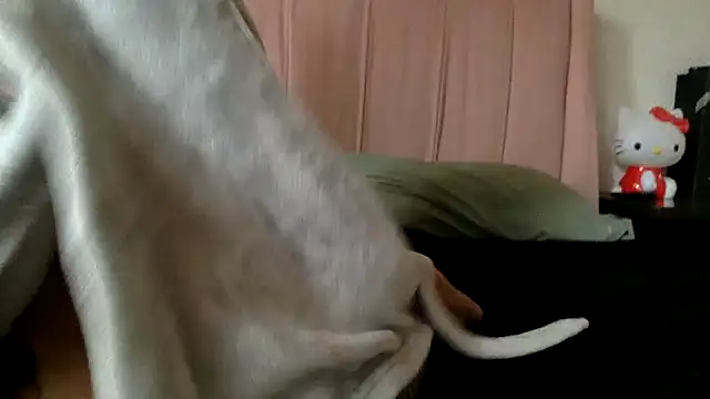 Snapshot of Akanett_cxtt chatting on 10/11/25, 08:51 Akanett cxtt online show from 10/11/25, 08:51