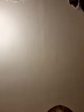 gazb90 online show from 11/14/25, 11:24