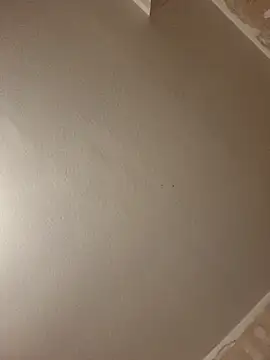 gazb90 online show from 04/09/26, 08:14