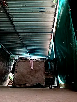 Shiya janu online show from 02/03/26, 06:40