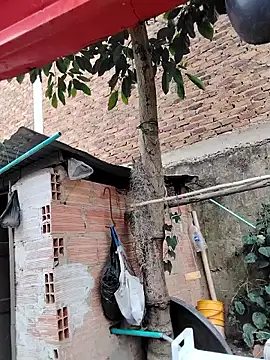 Snapshot of You-sexy-starr chatting on 10/09/25, 04:38 You-sexy-starr online show from 10/09/25, 04:38