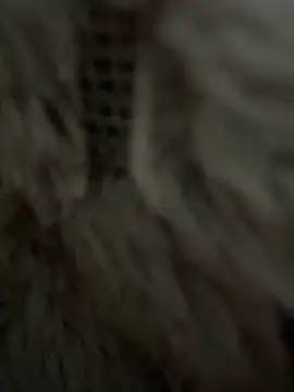 anonimgirl18old online show from 02/25/26, 08:35