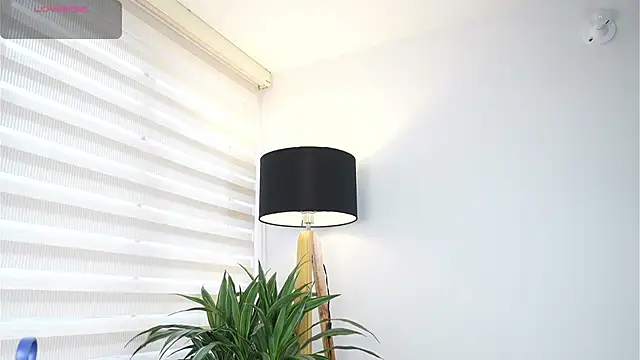 DeusbelliS online show from 10/14/25, 08:31