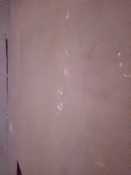 juanpa8453 online show from 04/23/26, 04:03