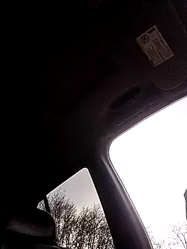 1234locos online show from 03/31/26, 12:38