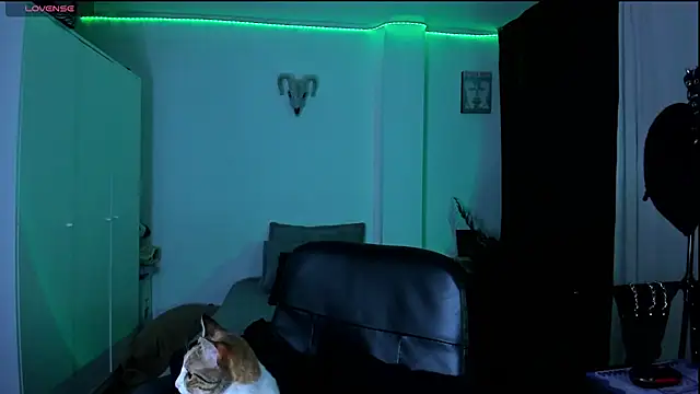 kattusauruss online show from 03/22/26, 02:26