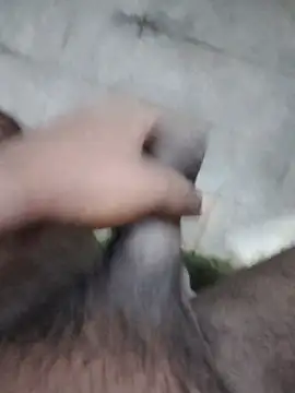 Saikishore00000 online show from 09/12/25, 02:28