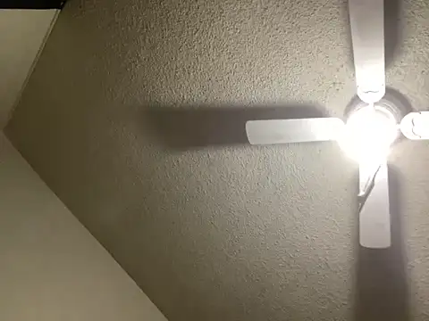 NiftyCaptain3 online show from 03/31/26, 03:45