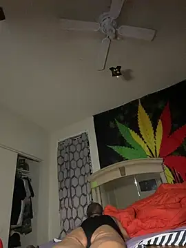 NiftyCaptain3 online show from 04/03/26, 07:06