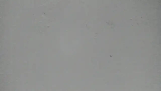 Sophia Ebony online show from 03/13/26, 12:01