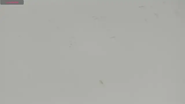 Sophia Ebony online show from 07/15/26, 12:10