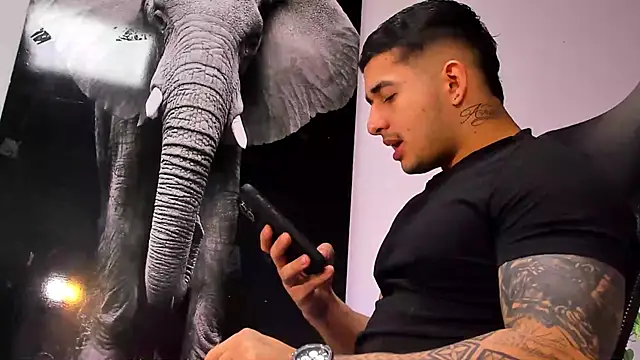 king falconer online show from 10/28/25, 03:10