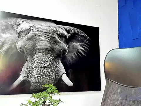 king falconer online show from 12/02/25, 12:49