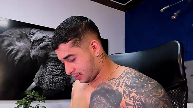 king falconer online show from 01/13/26, 01:00