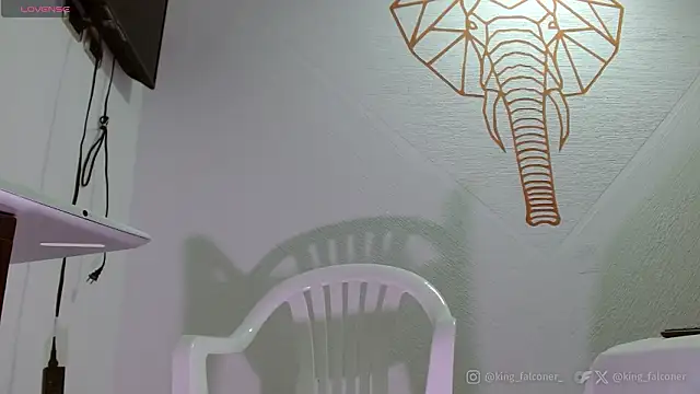 king falconer online show from 02/21/26, 05:03