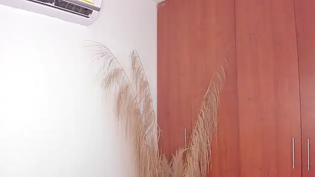 Snapshot of Evansdark1 chatting on 11/09/25, 10:52 Evansdark1 online show from 11/09/25, 10:52