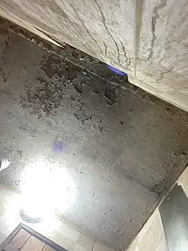 freedmar online show from 12/16/25, 06:02