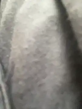 freedmar online show from 04/18/26, 03:38