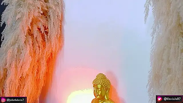 JulietaDavis online show from 04/15/26, 09:38