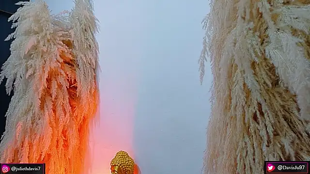 JulietaDavis online show from 04/18/26, 09:35