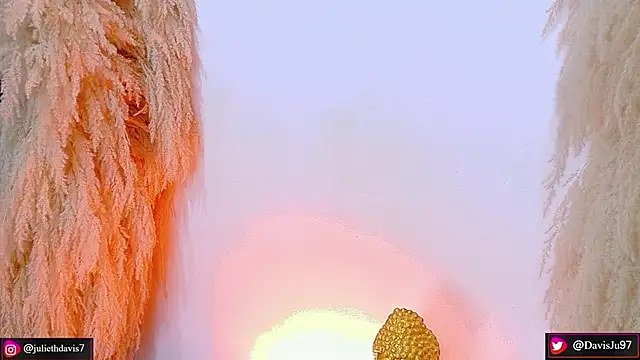 JulietaDavis online show from 04/22/26, 09:33