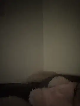 Snapshot of Bimalehung chatting on 11/16/25, 02:06 Bimalehung online show from 11/16/25, 02:06