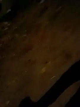 Snapshot of jvdzj-0_ chatting on 10/28/25, 09:50 jvdzj-0  online show from 10/28/25, 09:50