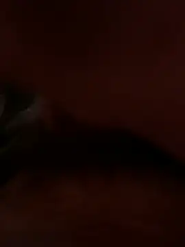 dice4422 online show from 04/02/26, 05:32