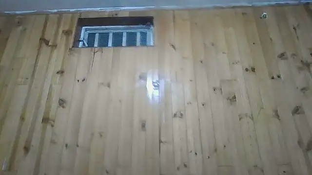 Roselingalvis13 online show from 10/30/25, 03:19