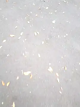 Arya Lexy online show from 10/26/25, 02:45