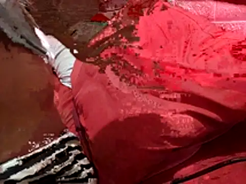 Kellye hotTs online show from 02/04/26, 02:17