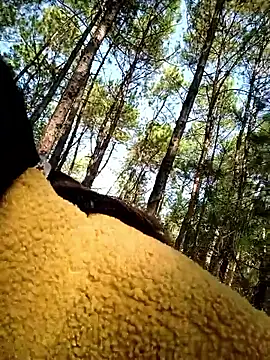 chengcheng12 online show from 11/25/25, 01:38