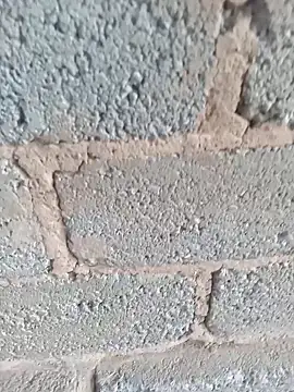 Snapshot of KingBonga chatting on 10/17/25, 04:37 KingBonga online show from 10/17/25, 04:37