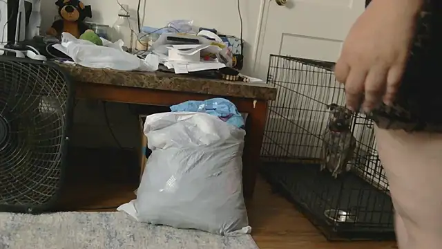 Babygrldes online show from 04/24/26, 02:03